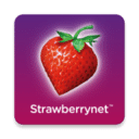 草莓网手机版 v2.0 草莓网手机版APP  
